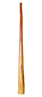 CrookedStixz Didgeridoo (AH306)