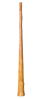 CrookedStixz Didgeridoo (AH307)