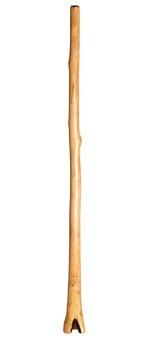CrookedStixz Didgeridoo (AH309)