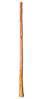 CrookedStixz Didgeridoo (AH310)