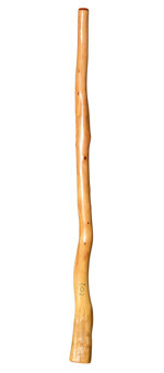 CrookedStixz Didgeridoo (AH312)