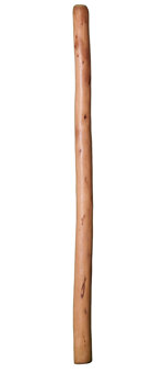 Alastair Black Didgeridoo (AW318)