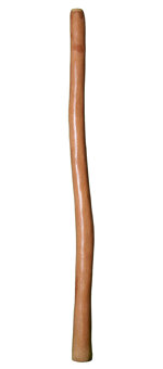 Alastair Black Didgeridoo (AW321)