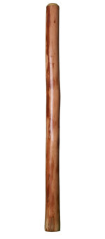 Alastair Black Didgeridoo (AW327)