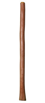 Alastair Black Didgeridoo (AW331) 