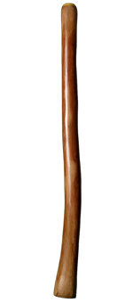 Alastair Black Didgeridoo (AW338)