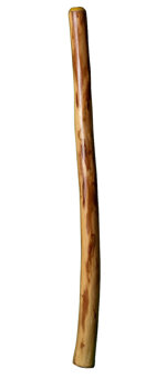 Alastair Black Didgeridoo  (AW340) 