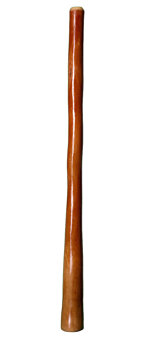 Alastair Black Didgeridoo (AW362)