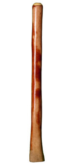 Medium Size Natural Finish Didgeridoo (TW179)