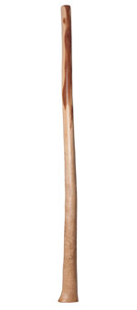 Brad Hagelstein Didgeridoo (BH011) 