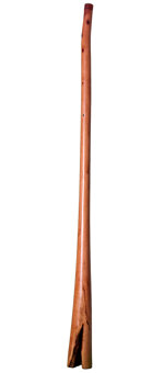 Brad Hagelstein Didgeridoo (BH012) 
