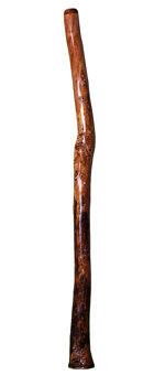 Brad Hagelstein Didgeridoo (BH013)