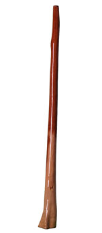Brad Hagelstein Didgeridoo (BH014) 