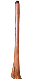 Brad Hagelstein Didgeridoo (BH018) 