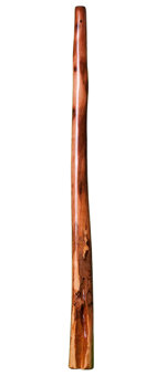 Brad Hagelstein Didgeridoo (BH019) 