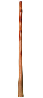 Brad Hagelstein Didgeridoo (BH020) 