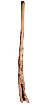 Brad Hagelstein Didgeridoo (BH023) 