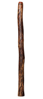 Brad Hagelstein Didgeridoo (BH024)