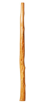 Brad Hagelstein Didgeridoo (BH027)