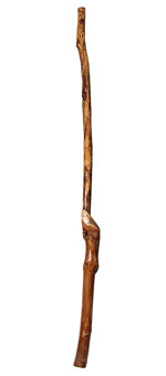 Brad Hagelstein Didgeridoo (BH028)