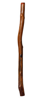Brad Hagelstein Didgeridoo (BH029)