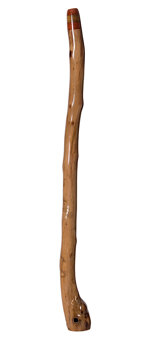 Brad Hagelstein Didgeridoo (BH030)
