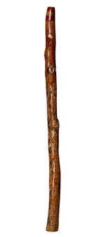 Brad Hagelstein Didgeridoo (BH033)