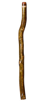 Brad Hagelstein Didgeridoo (BH035)