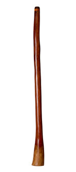 Brad Hagelstein Didgeridoo (BH036) 