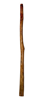 Brad Hagelstein Didgeridoo (BH037)
