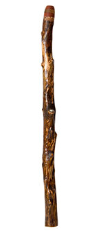 Brad Hagelstein Didgeridoo (BH038)