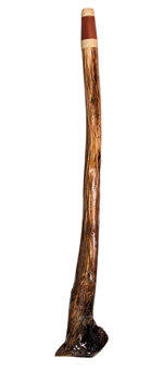 Brad Hagelstein Didgeridoo (BH039)