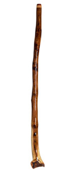Brad Hagelstein Didgeridoo (BH040)