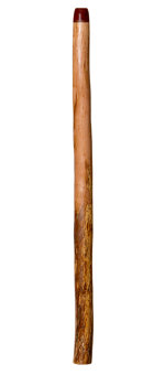 Brad Hagelstein Didgeridoo (BH041)