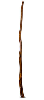 Brad Hagelstein Didgeridoo (BH047)