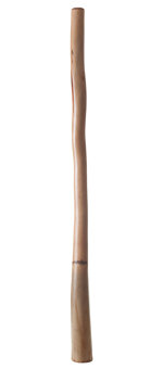 Bruce Rogers Didgeridoo (BR013)  