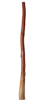 Bruce Rogers Didgeridoo (BR025)