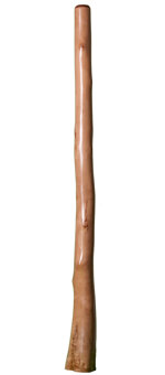 Bruce Rogers Didgeridoo (BR032)