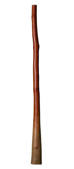 Bruce Rogers Didgeridoo (BR033) 