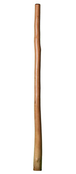 Bruce Rogers Didgeridoo (BR035)