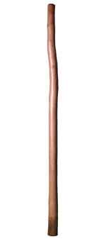 Bruce Rogers Didgeridoo (BR041) 