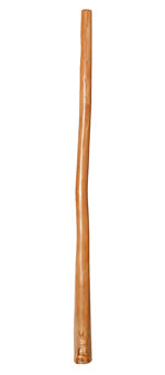 Bruce Rogers Didgeridoo (BR060)