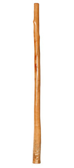Bruce Rogers Didgeridoo (BR061)