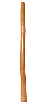 Bruce Rogers Didgeridoo (BR066)