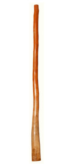 Bruce Rogers Didgeridoo (BR067)