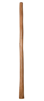 Bruce Rogers Didgeridoo (BR069)