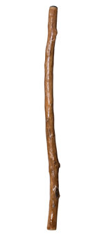 Earl Clements Didgeridoo (EC288)