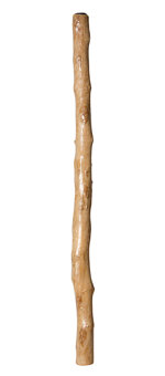 Earl Clements Didgeridoo (EC290)