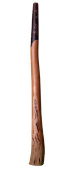 Heartland Didgeridoo (HD066) 