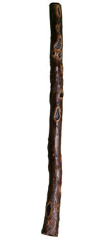 Heartland Didgeridoos (HD132)